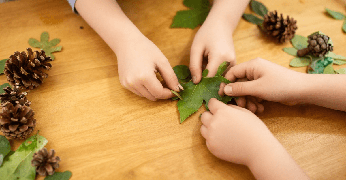 Understanding Schemas in Early Childhood Development